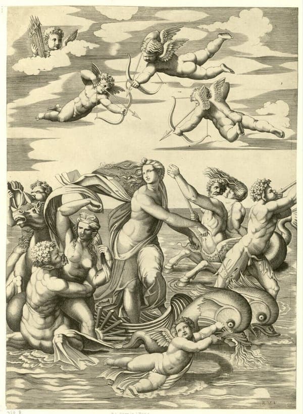 Raimondi - Triumph der Galathea, DG201737000