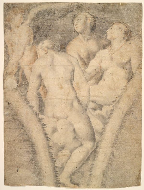 Three Graces, 1965.411