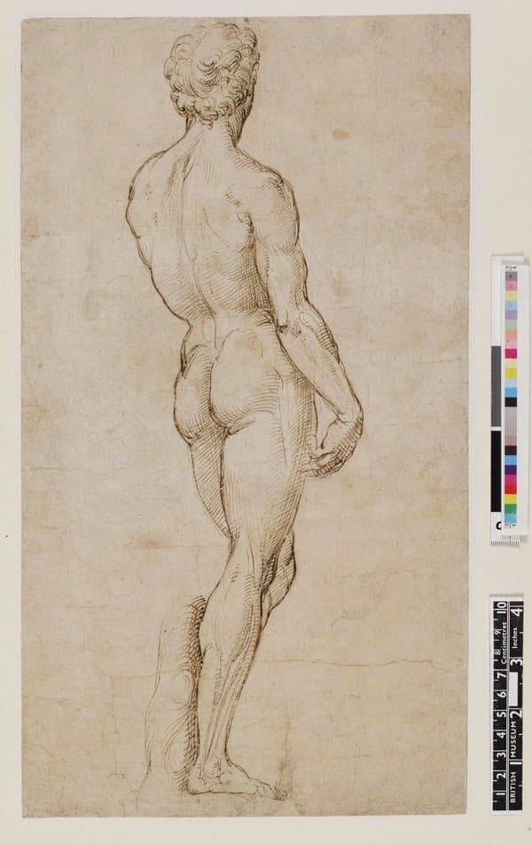'David' after Michelangelo, Pp,1.68