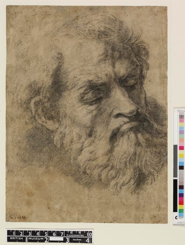 Head of an apostle, 1895,0915.634