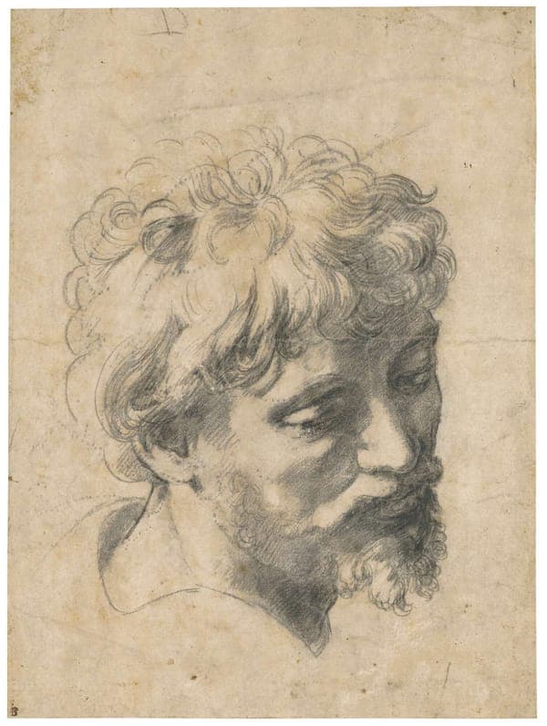 head of an apostle (Chatsworth no. 67)