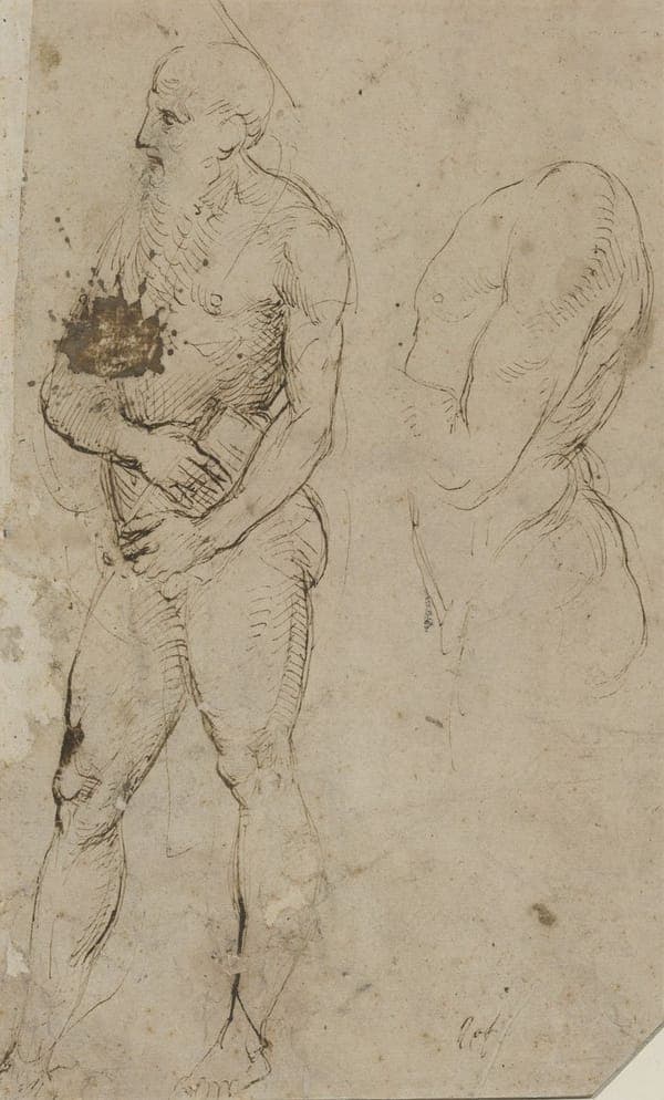 Nude Studies (Saint Jerome)