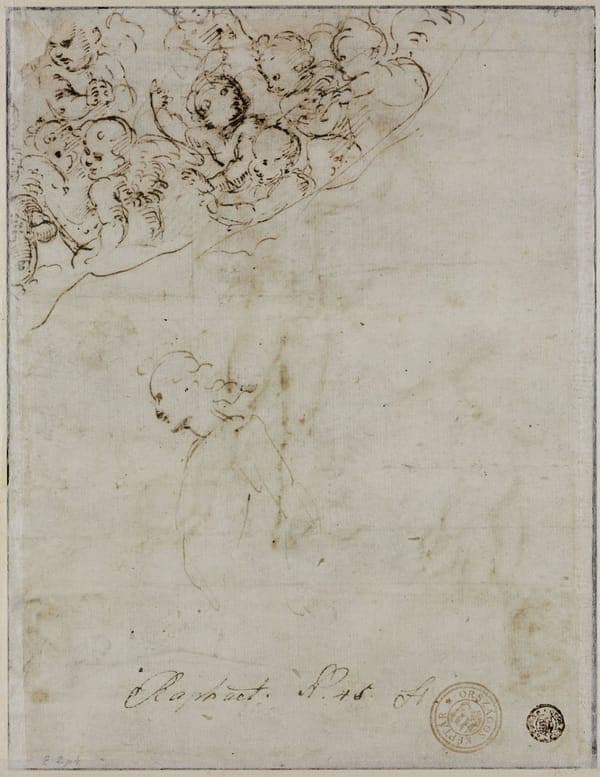 Sketches for the Disputa