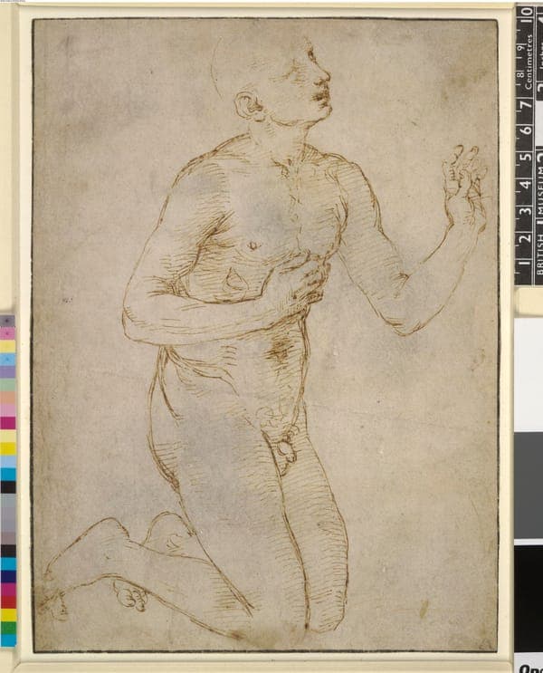 St Francis receiving the stigmata, Pp,1.64