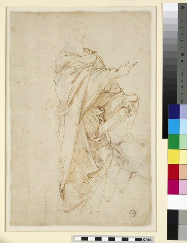 Study for the Figure Virgil, c. 1510 - 1511
