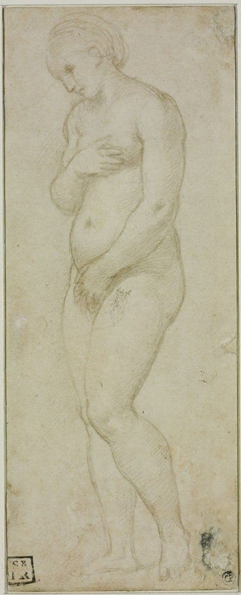 Study of the Figure of Venus