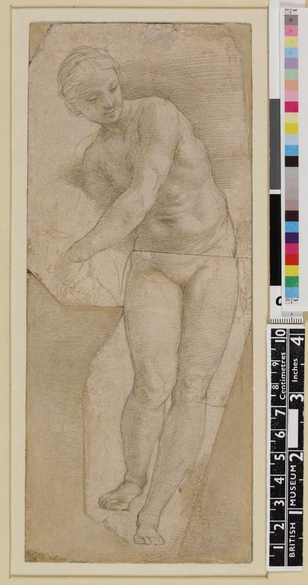 Venus, 1895,0915.629
