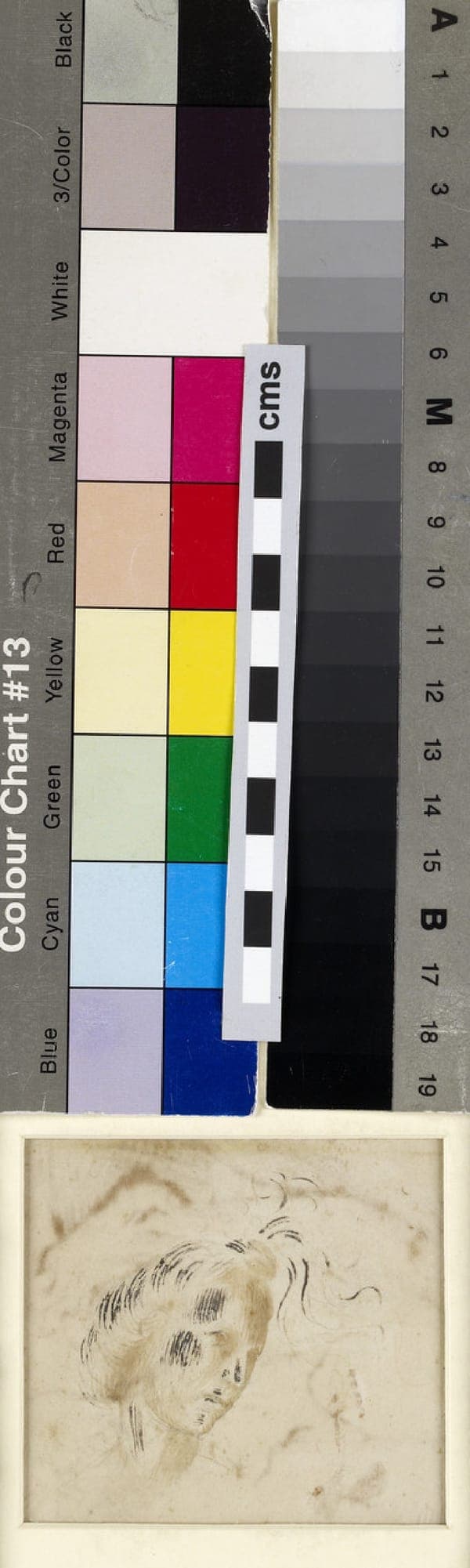 Verso Head of a Woman