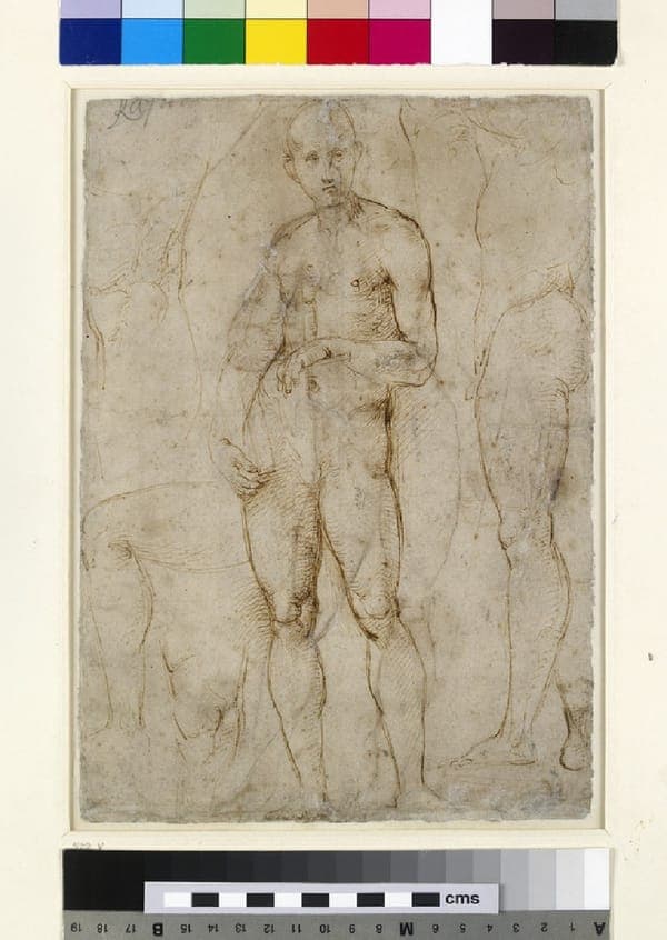 Verso Nude Study for a St Paul