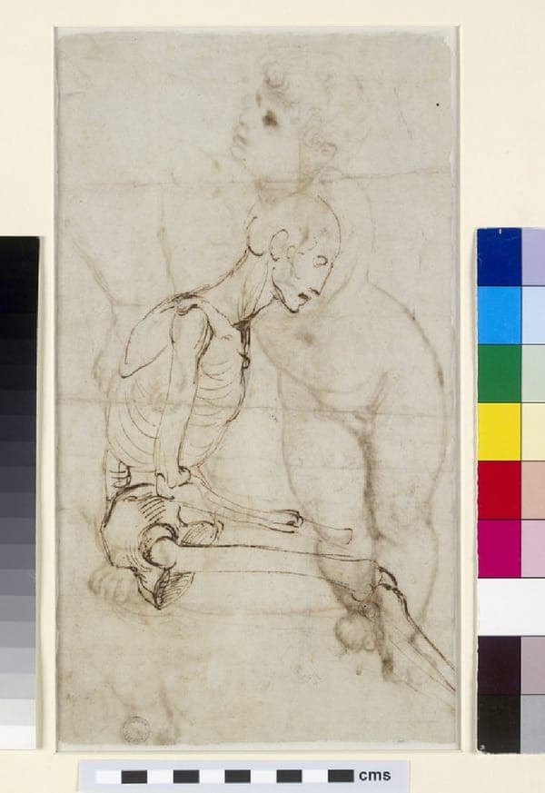 Verso Study of a Skeleton