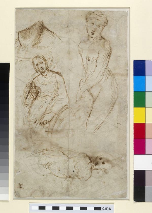 Verso Various Studies