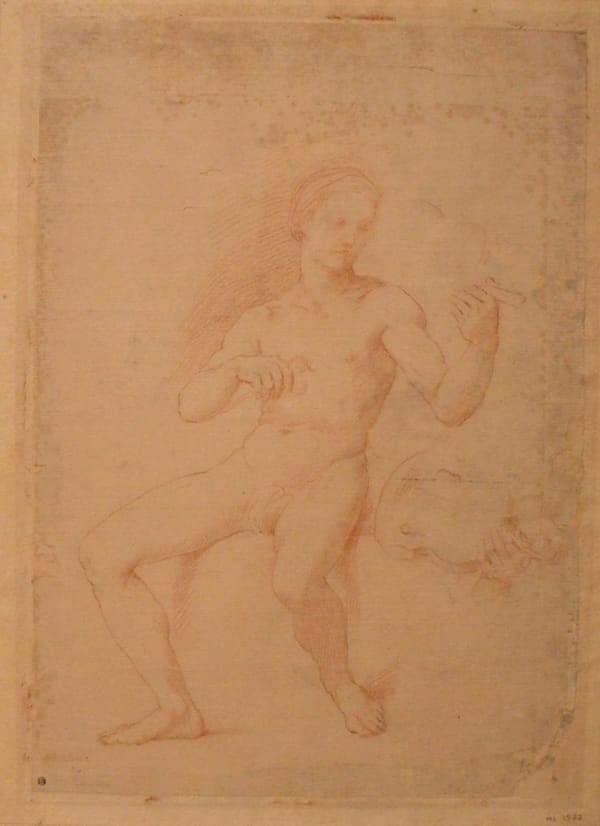 Raphaël - Apollon jouant du violon, REC-1385-3