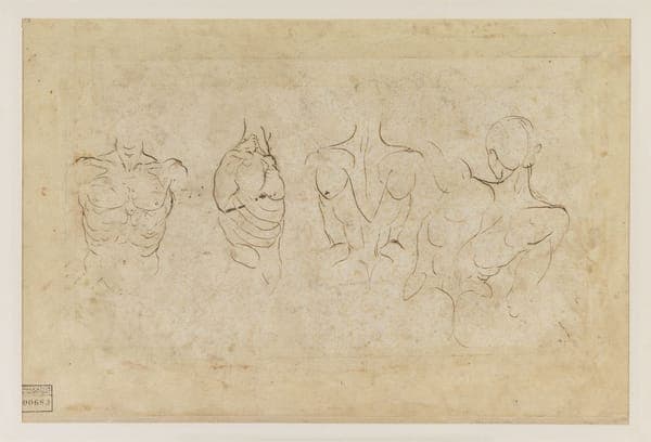 Raphaël - Quatre études d'hommes nus, 683-03