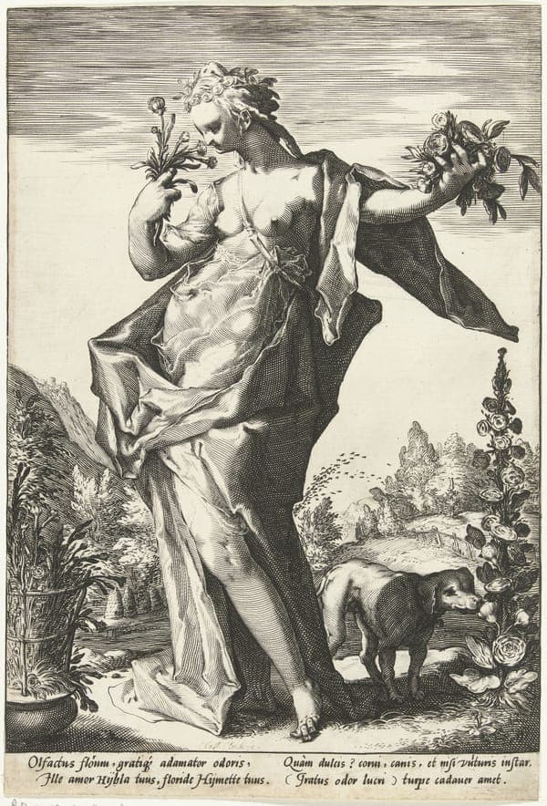 Reuk De vijf zintuigen (serietitel), RP-P-1907-2627