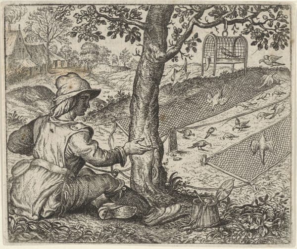 Fabel van de vogelaar