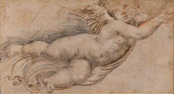 Santi Raffael - podle - Amor, B 2621