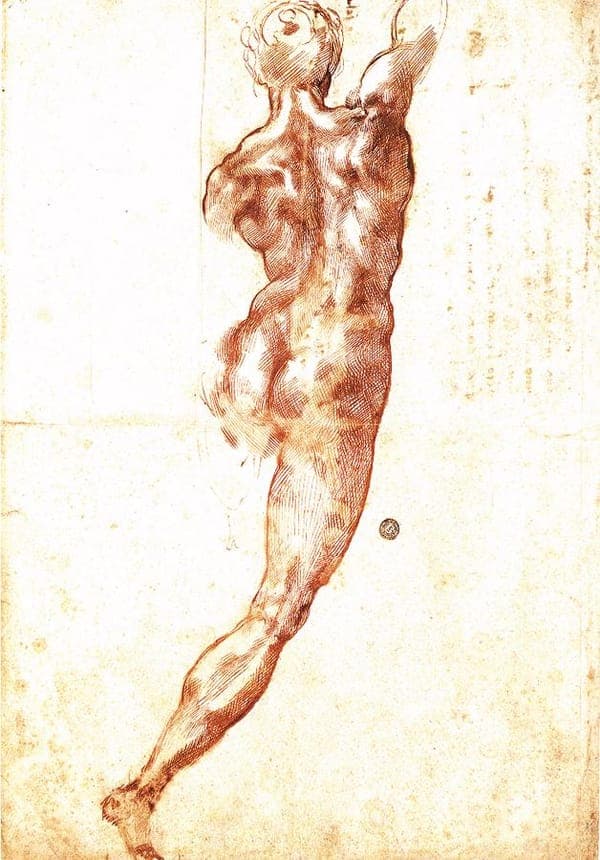 Study for a Nude