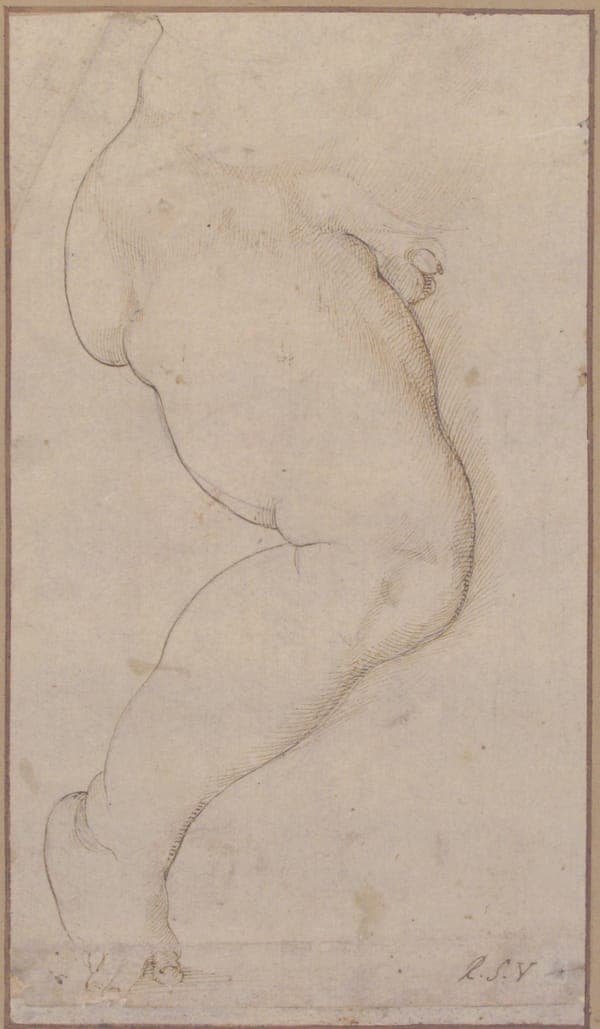 Study of the Right Leg of a Male Child