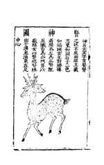 Collected Illustrations of the Three Realms: The Human Body