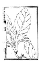 Illustrated Investigation of the Names and Realities of Plants, Volume 4