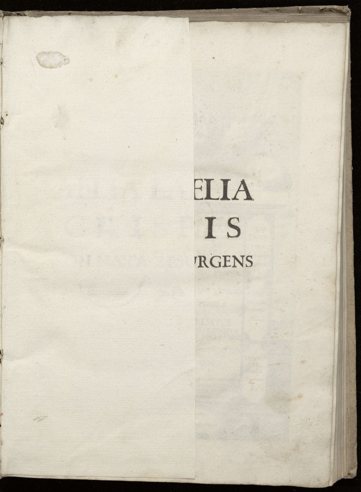 Aelia laelia crispis non nata resurgens