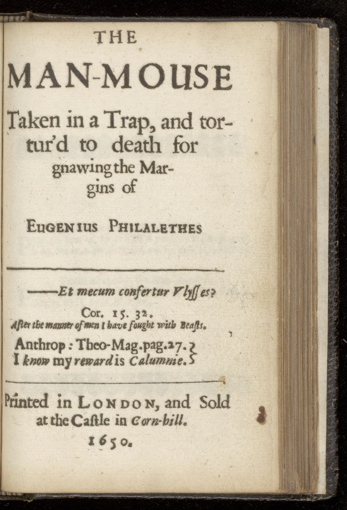 The man-mouse taken in a trap