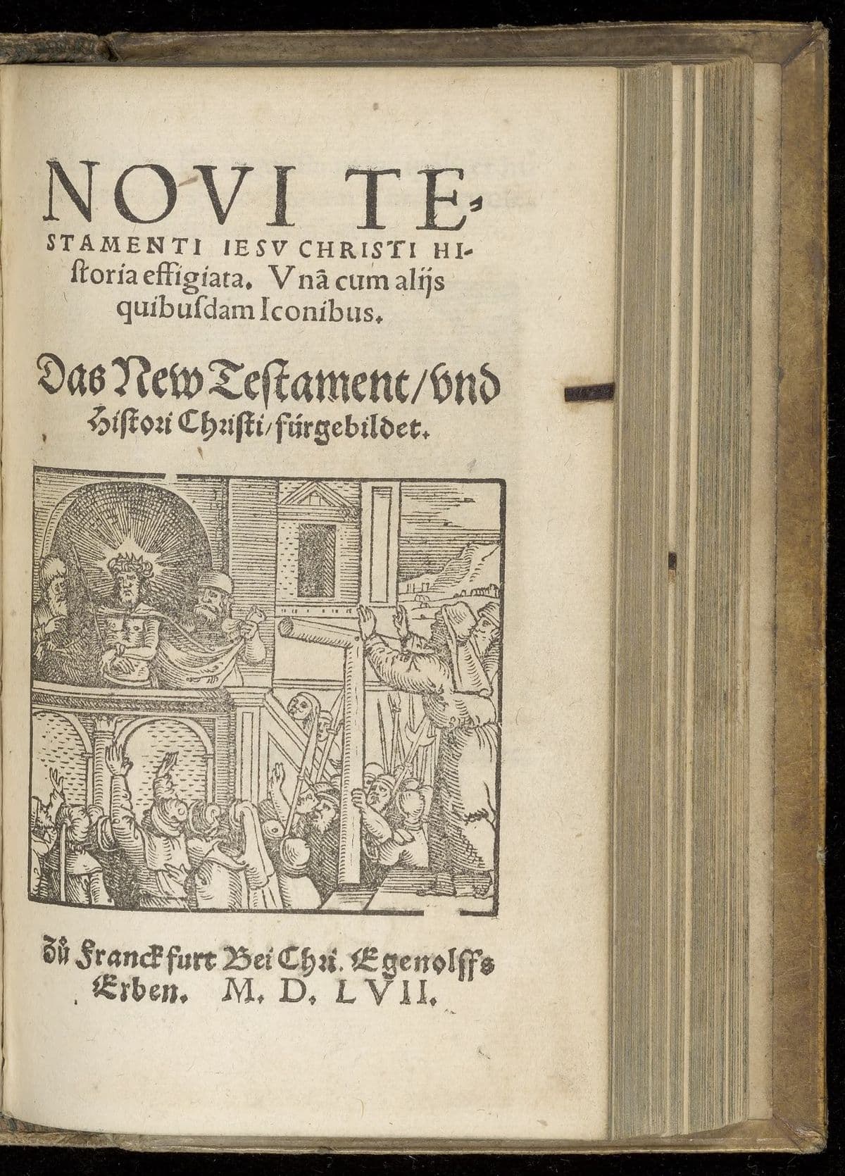 Novi Testamenti ... Das New Testament