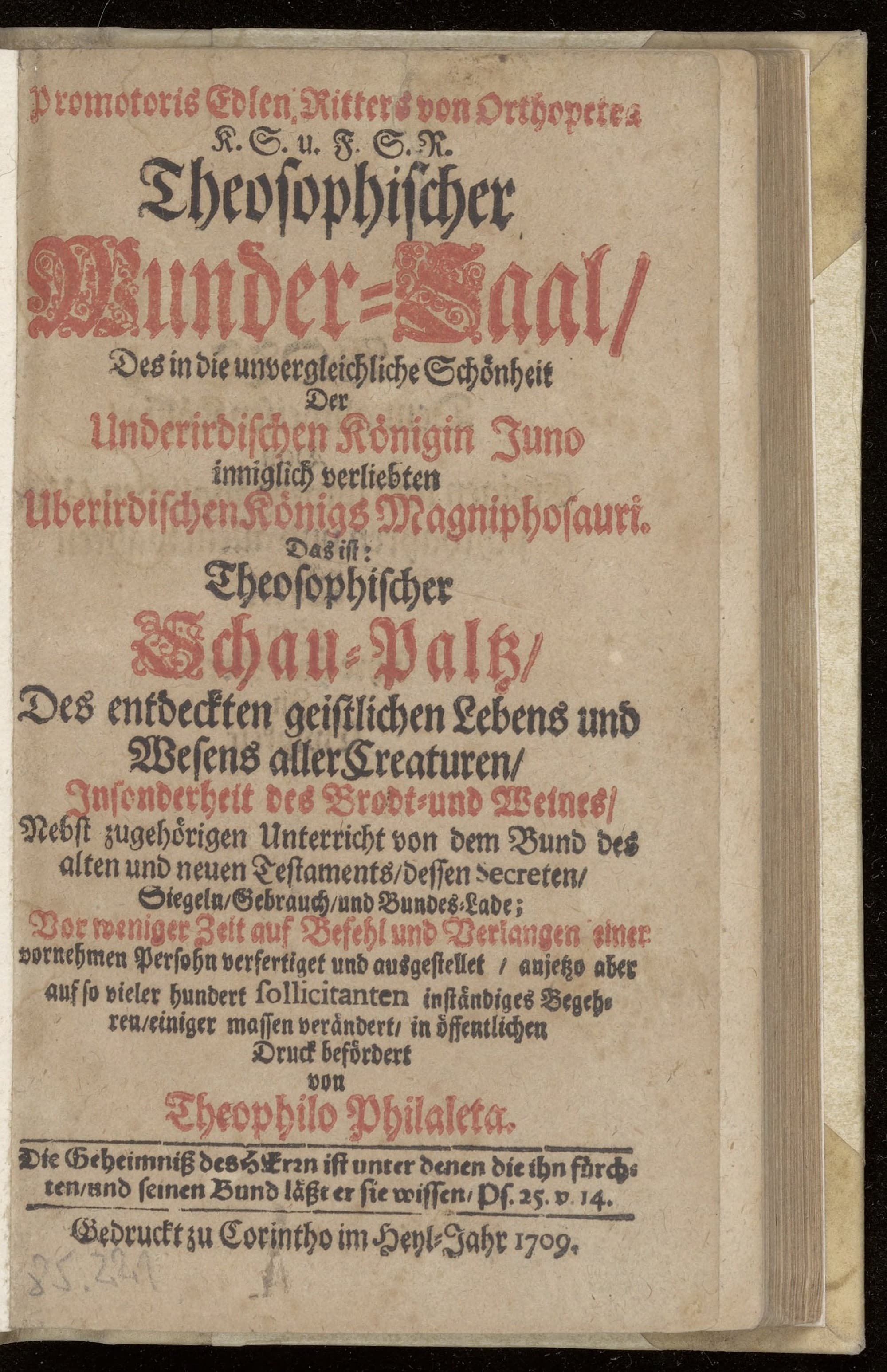 Theosophischer Wunder-Saal