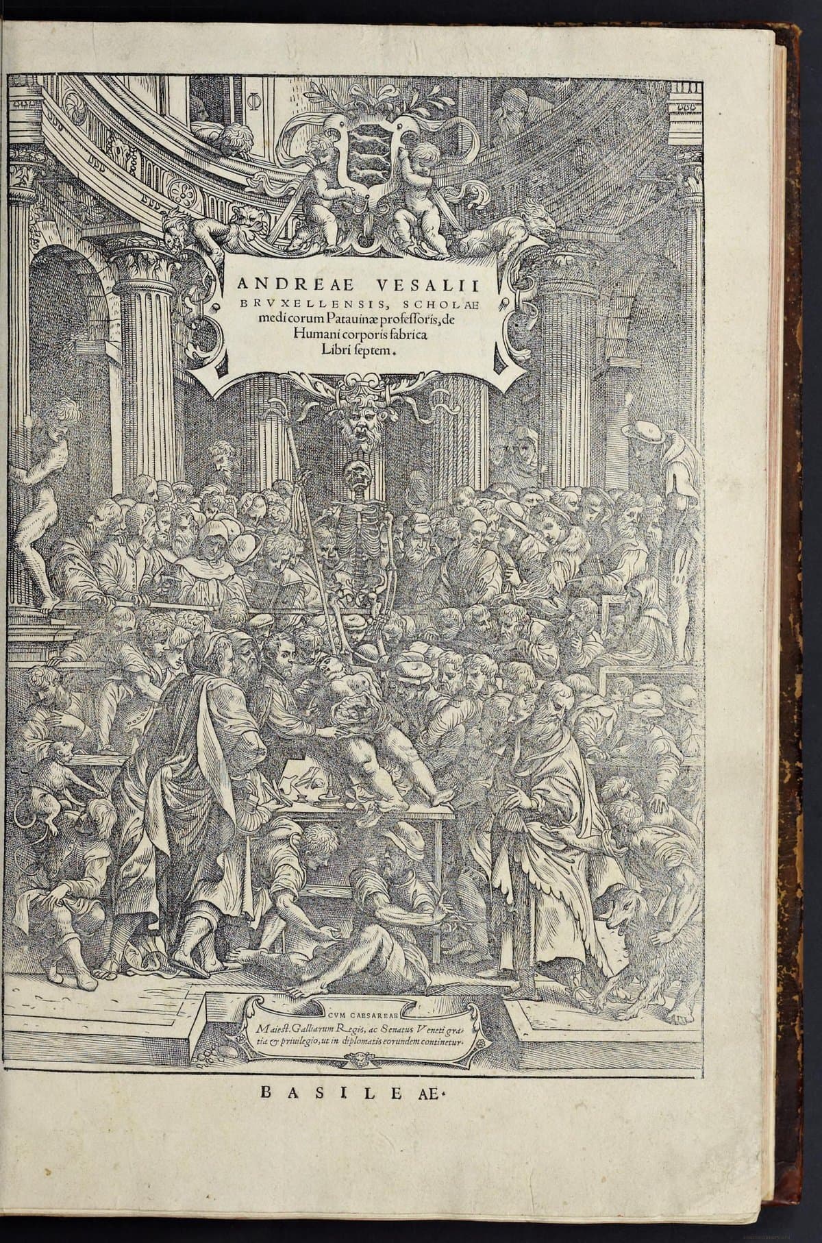 On the Fabric of the Human Body (De Humani Corporis Fabrica)