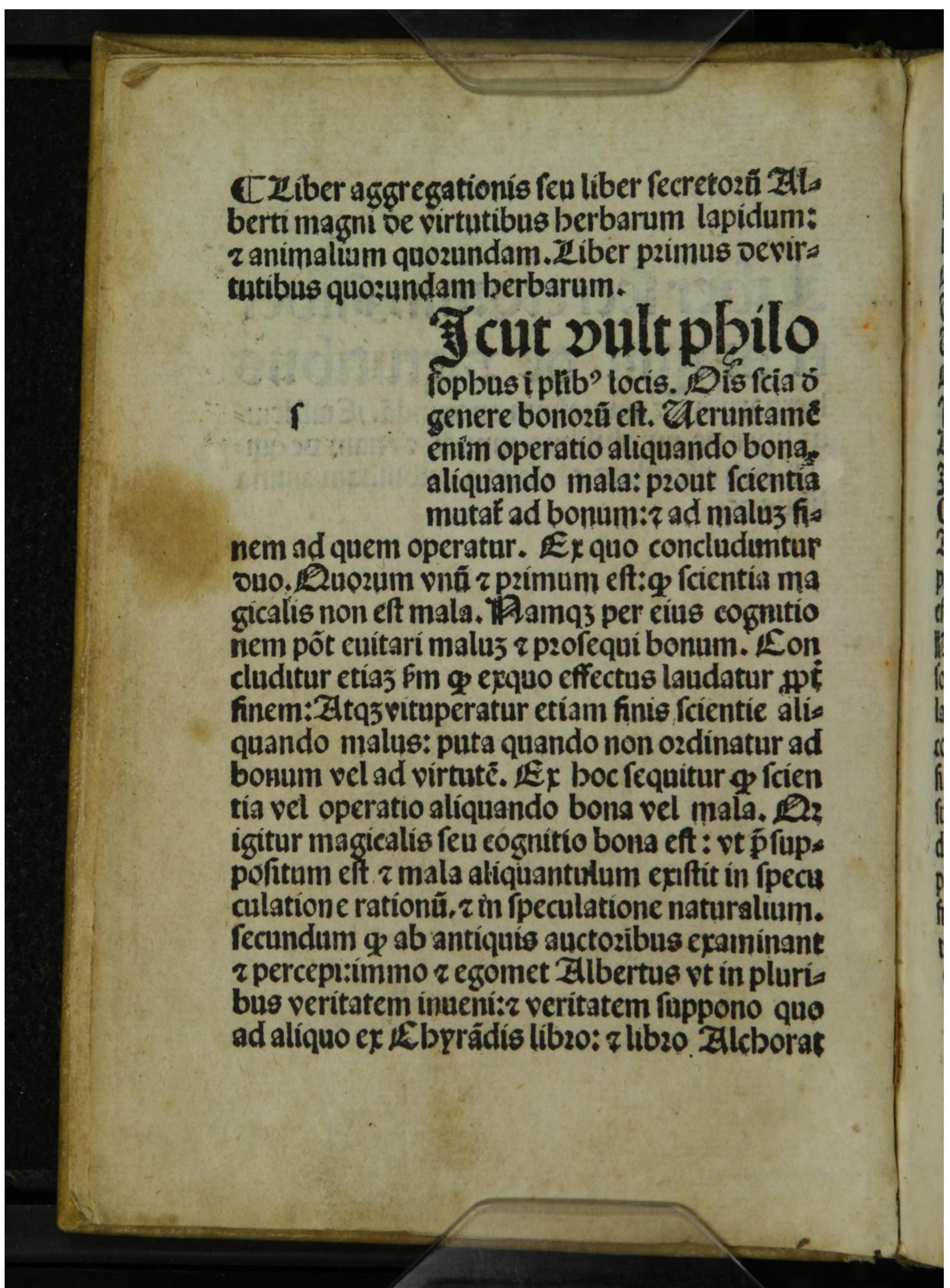 Liber Aggregationis, seu Liber Secretorum de Virtutibus Herbarum