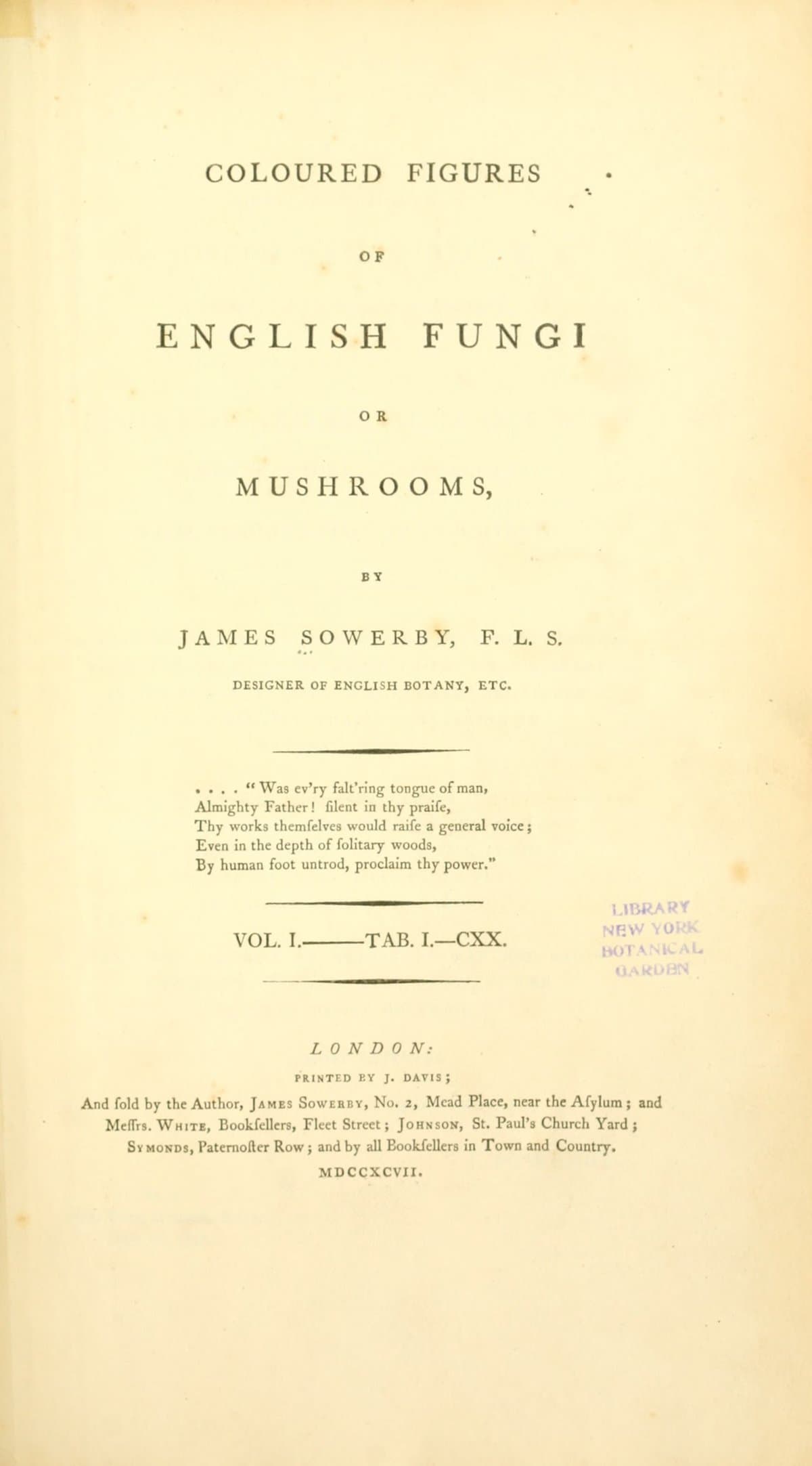 Coloured Figures of English Fungi or Mushrooms