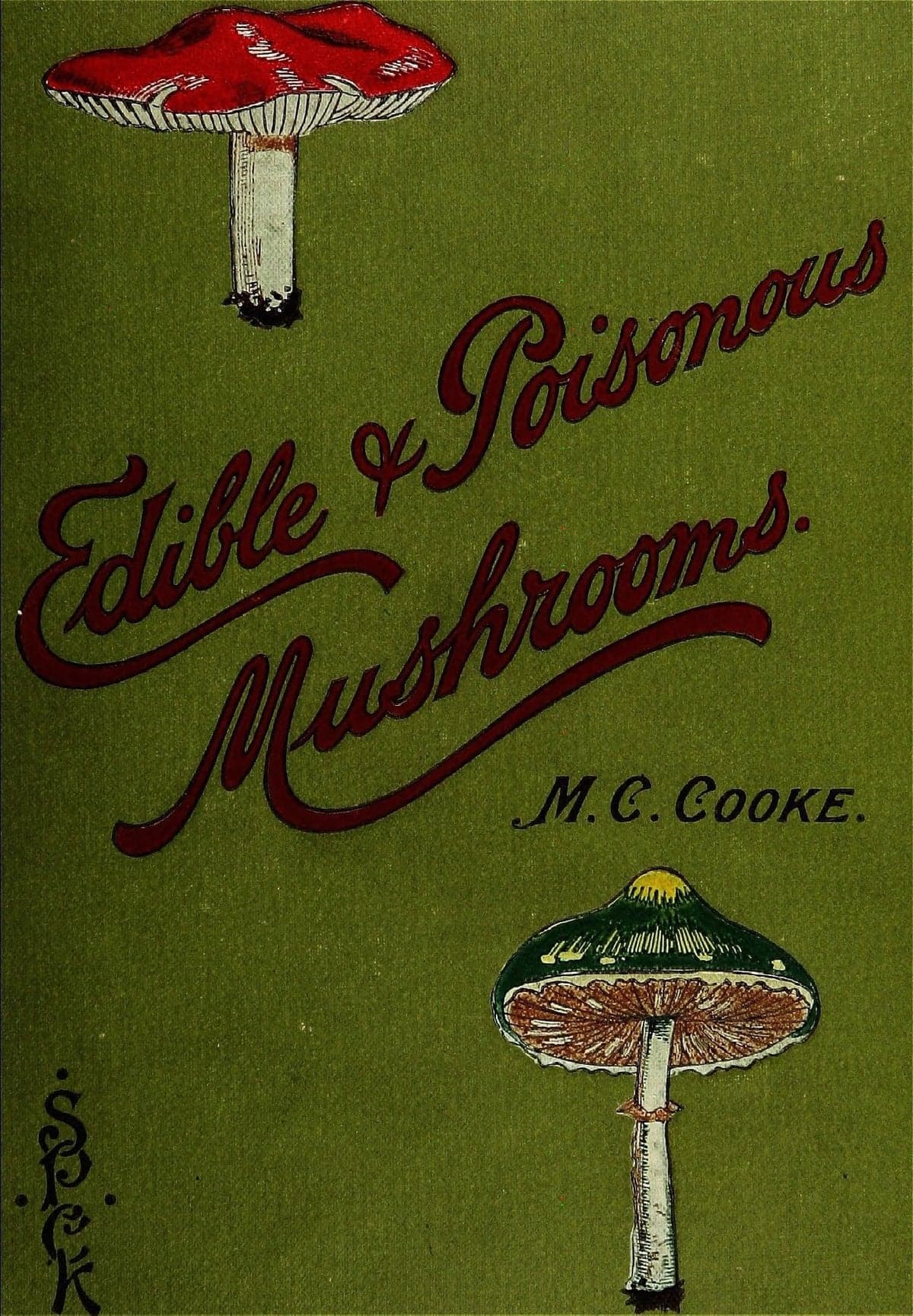 Edible and Poisonous Mushrooms: What to Eat and What to Avoid