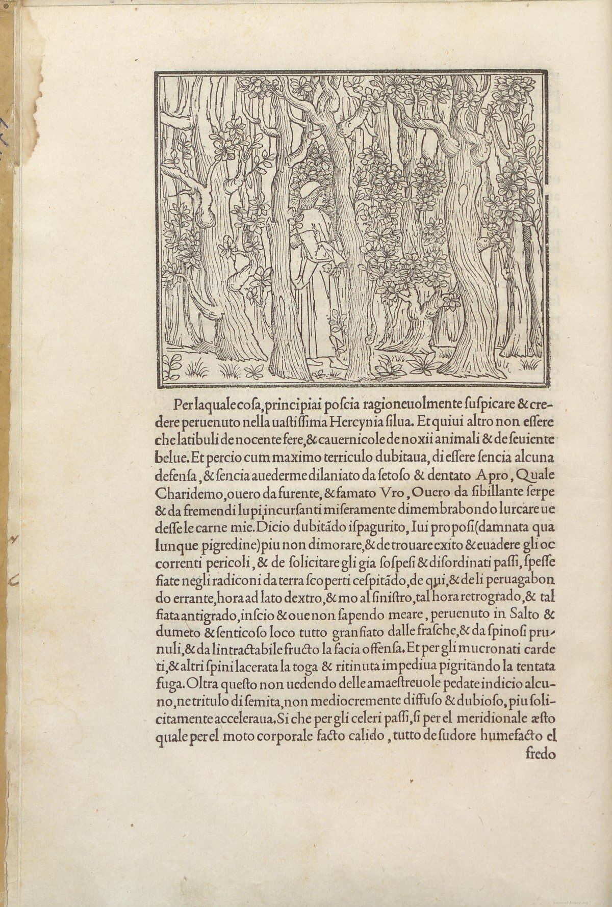 Poliphilo's Strife of Love in a Dream