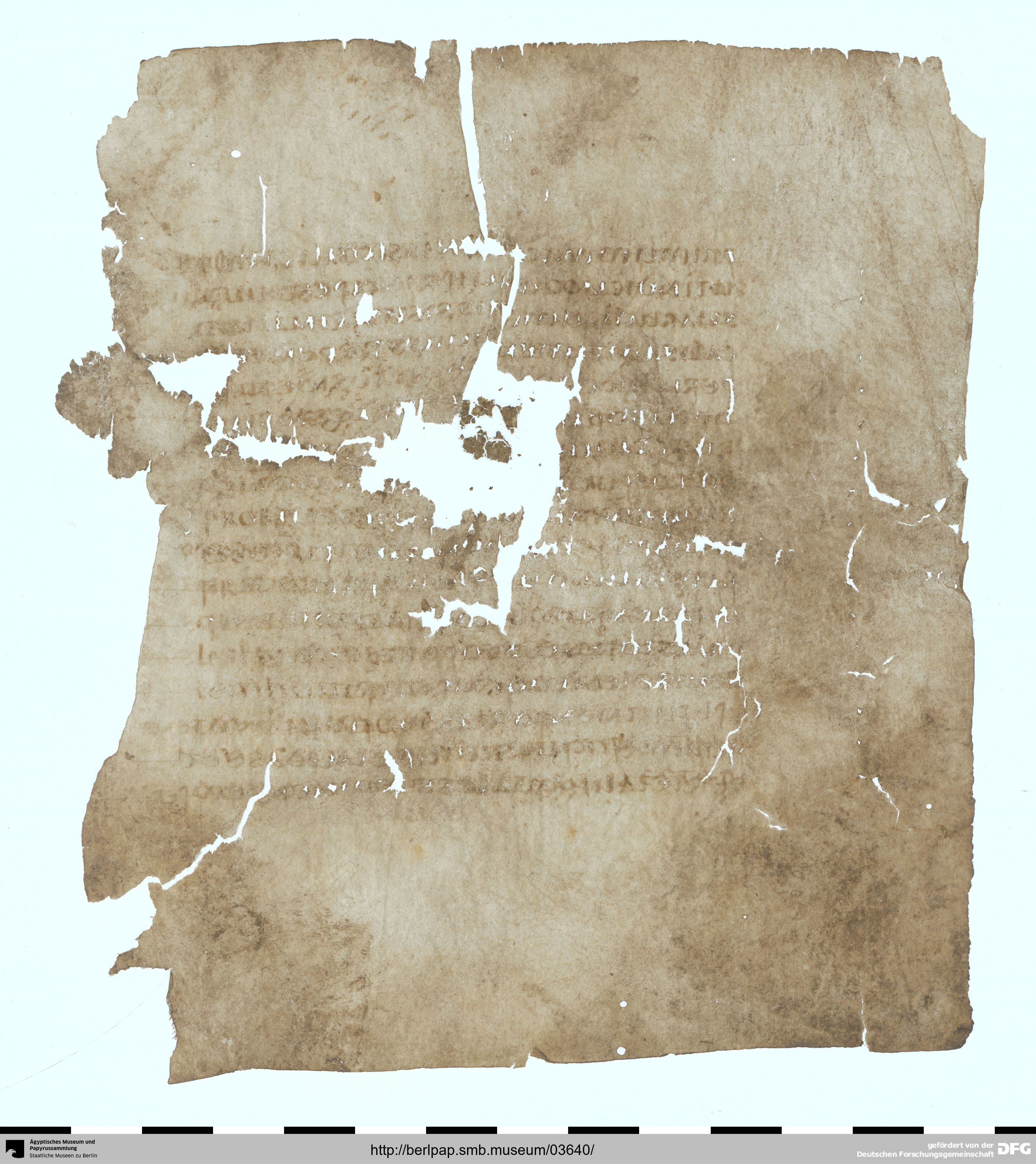 Cicero, Pro Plancio (Latin Parchment Codex)