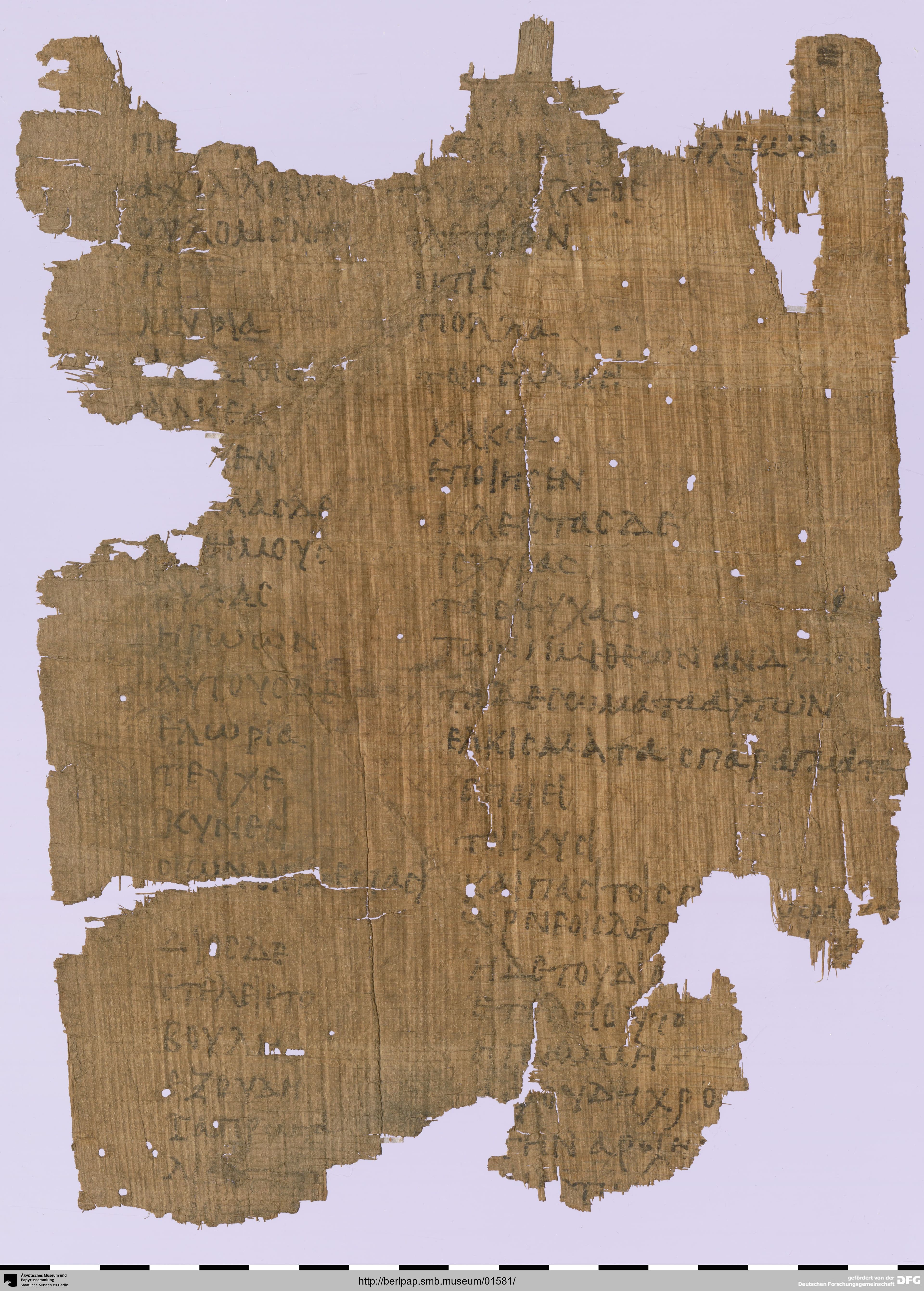 Homer Glossary (School Text for Iliad Book 1)