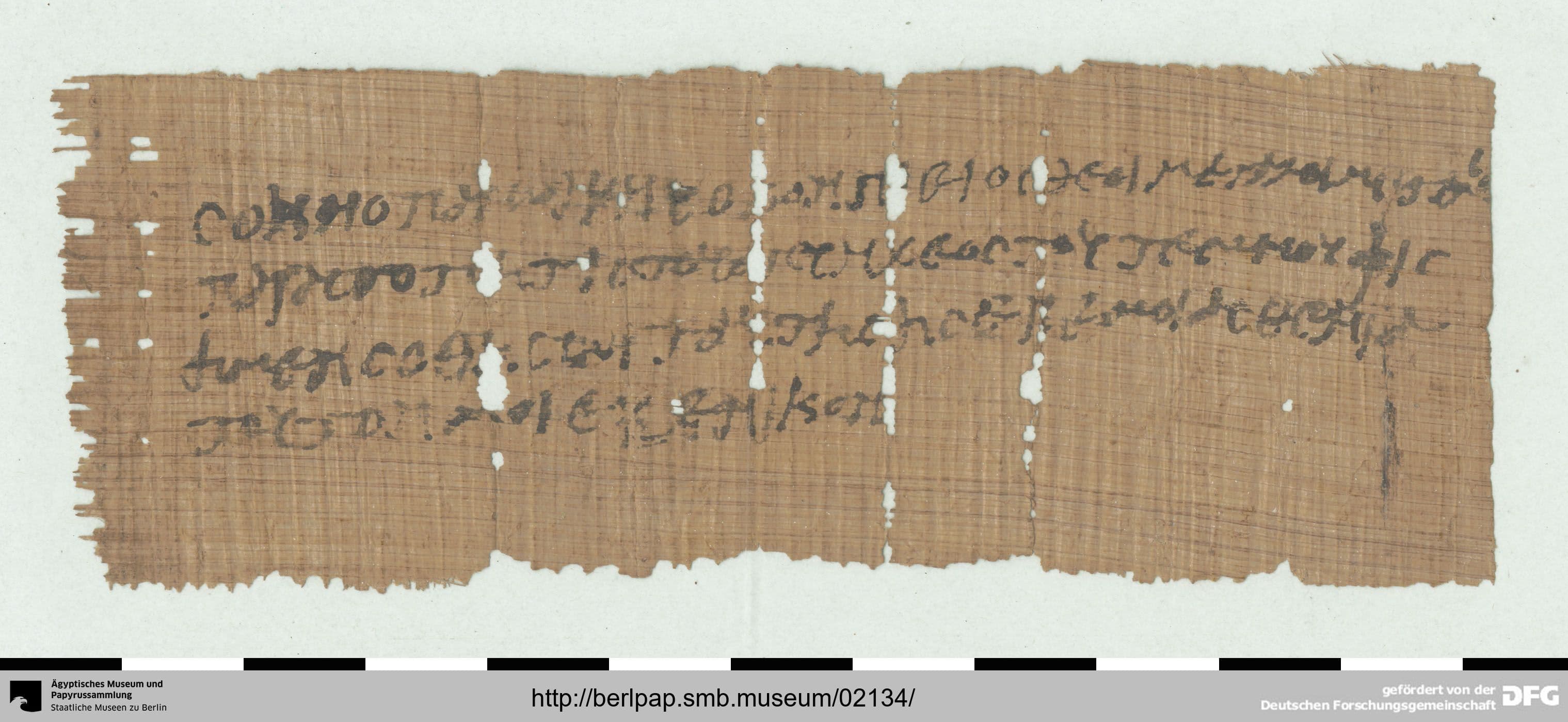 PGM XXX c - Oracle Question for Healing