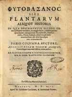 Plant Touchstone (Phytobasanos)