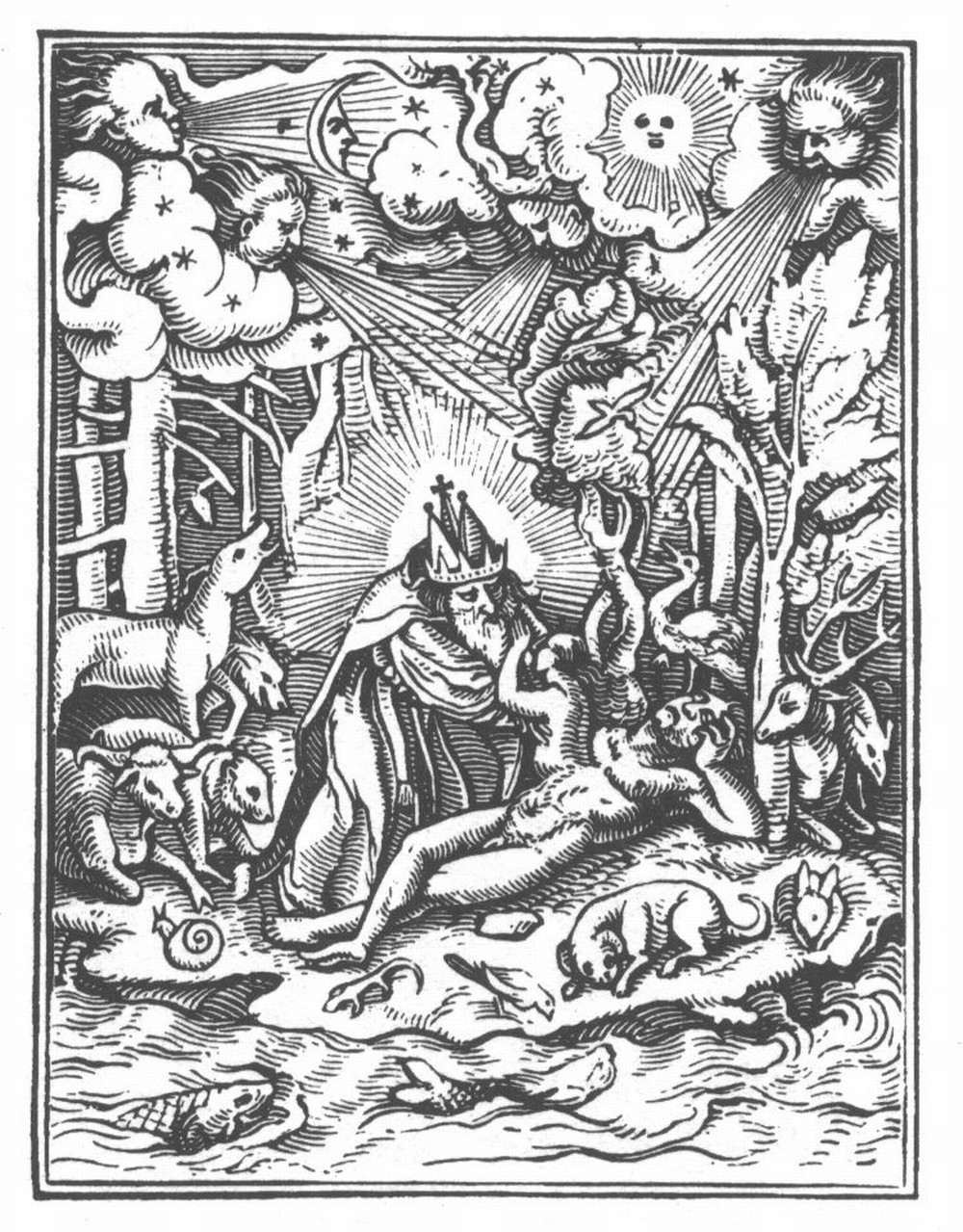 Dance of Death:  The Creation