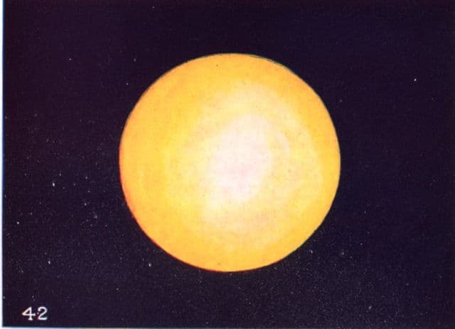 A Sympathetic Feeling