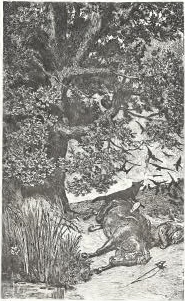 Klinger - Singer, 062