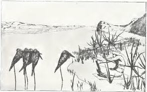 Klinger - Singer, 033