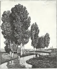 Klinger - Singer, 326