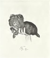 Klinger - Singer, 266