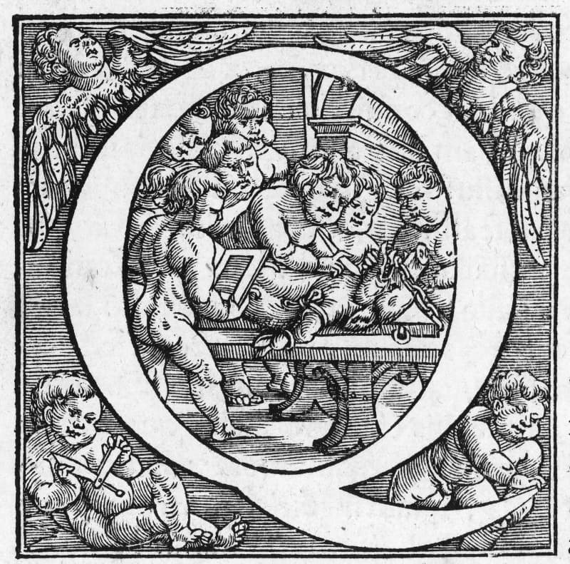 De humani corporis fabrica (17)