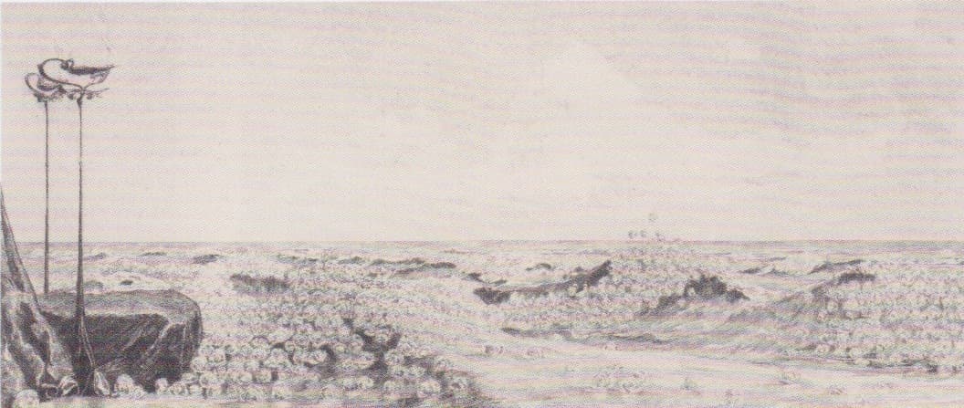 From the Cycle "A Glove": Homage (Opus VI: Plate 6/10)