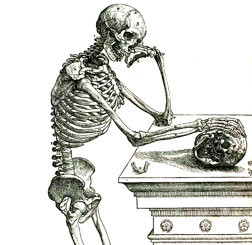 Vesalius 164frc small cropped