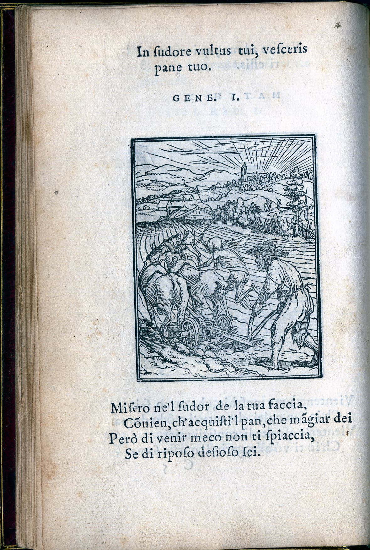 The Ploughman (from Les Simulachres & Historiees Faces de la Mort)