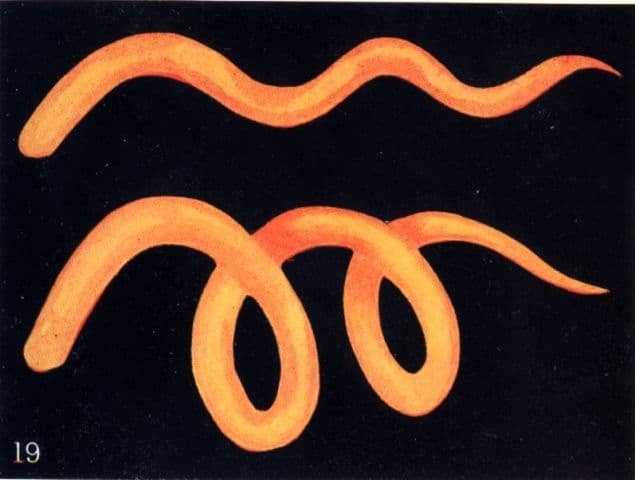 Thought Forms: Sympathy and Pride