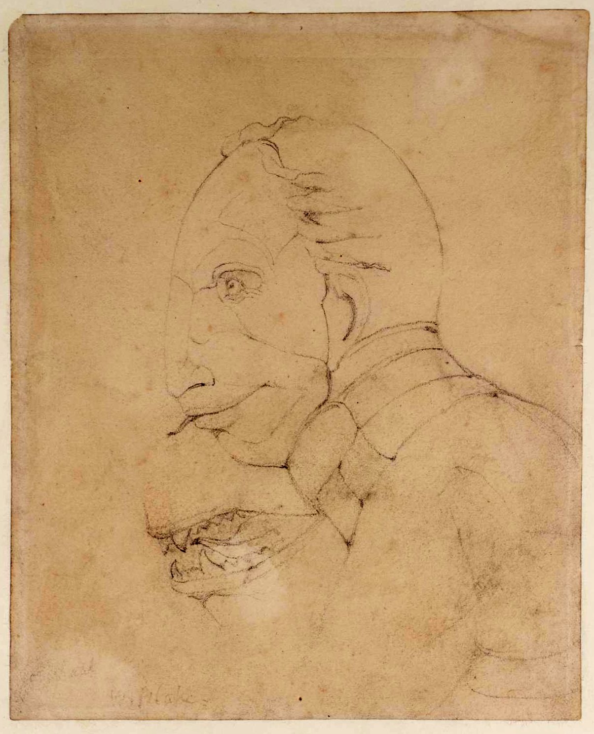 Blake The Head of a Ghost of Flea