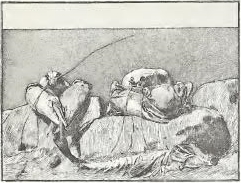 Klinger - Singer, 018